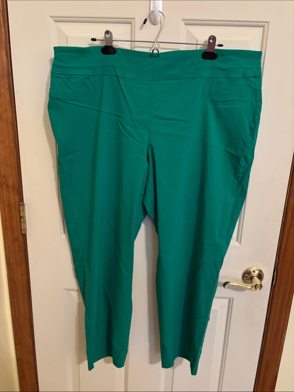 Zac & Rachel Teal Straight-Leg Pants